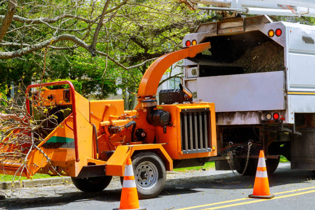 Best Tree Mulching  in Tolar, TX